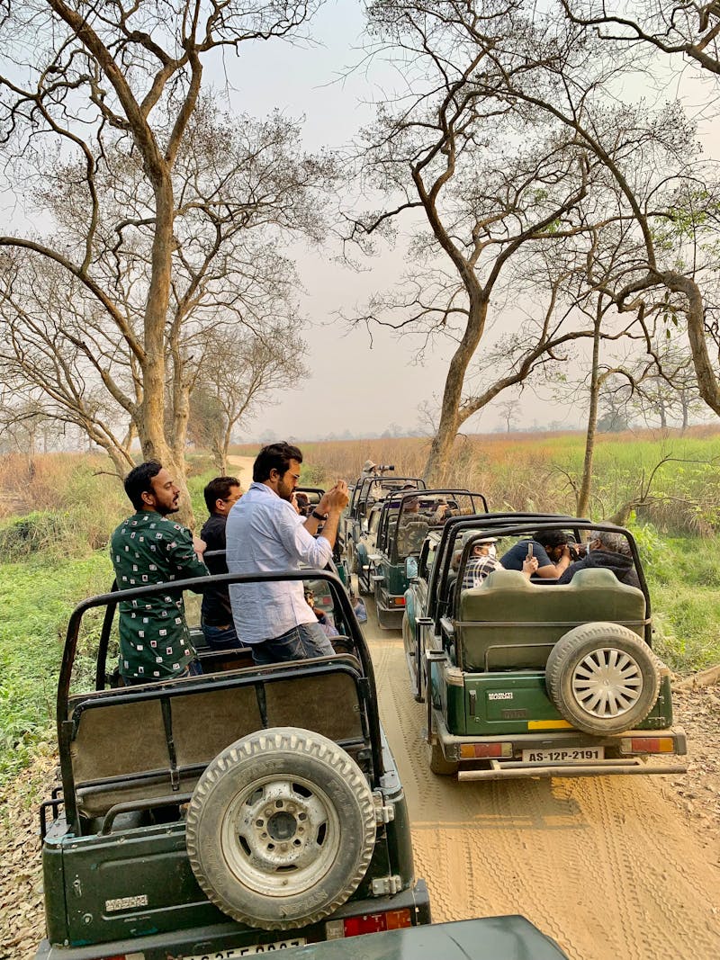 Tourists on safari jeeps in an Indian national park